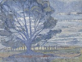 Paysage de Wilunga