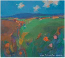 Paysage d'été de West Penwith