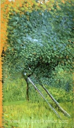 Arbre avec échelle