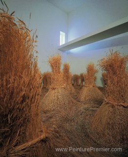 Um Campo Depois da Colheita para deleite estitico do nosso corpo