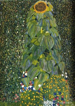 Le tournesol