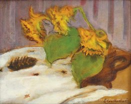 Tournesol