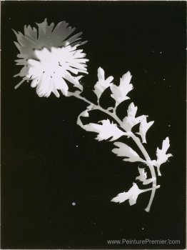 Fleur