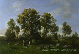 Jours ensoleillés dans la forêt