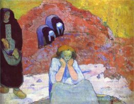 Récolte de raisin à Arles