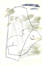 Torse