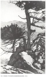 Crimée. Ancienne genévrier