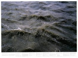 Sans titre (de la série Still Water (la Tamise de la rivière, pa