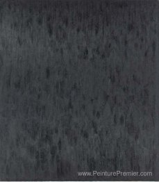 Peinture noire VI