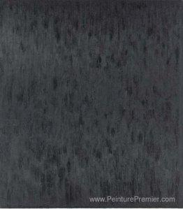 Peinture noire VI