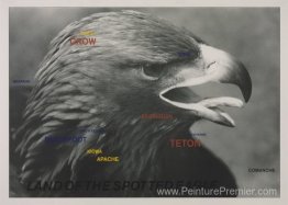 Terre de l'aigle tacheté
