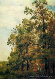 Bord de la forêt