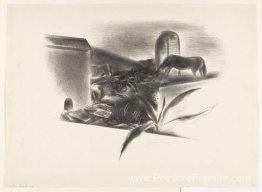 Paysage occidental
