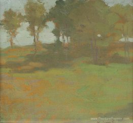 Paysage d'été
