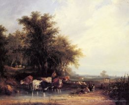 Près de la nouvelle forêt