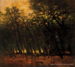 Incendies dans la forêt