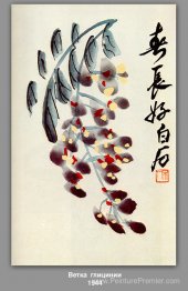 La branche de Wisteria