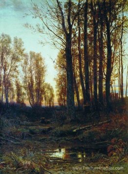 Crépuscule. Après le coucher du soleil