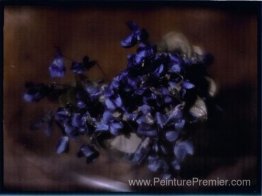 Violettes