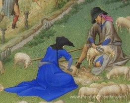 Cisaillement de moutons Juillet