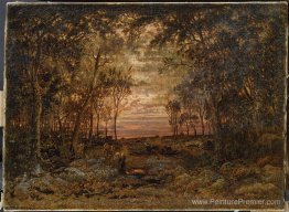 Coucher de soleil dans la forêt