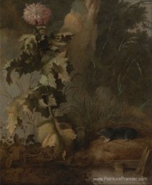 Un pavot égyptien et une taupe à eau