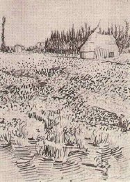 Paysage avec cabane dans la camargue