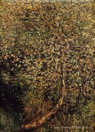 Pommiers en fleur au bord de l'eau