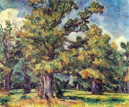 Oak Grove. Illuminé par le soleil.