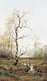 En forêt après le printemps