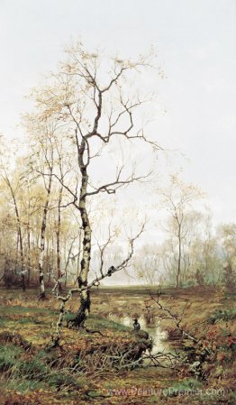 En forêt après le printemps