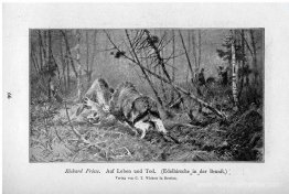 Auf Leben und Tod (Edelhirsche dans Der Brunft)