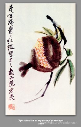 Chrysanthemum et loquat