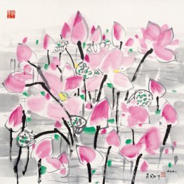 Lotus sous le soleil