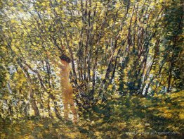 Nu dans le bois ensoleillé