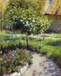 Un arbre