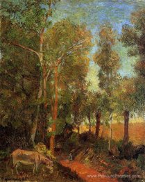 Âne par voie