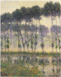 Des peupliers par la rivière Eau