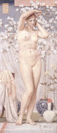 Une Vénus