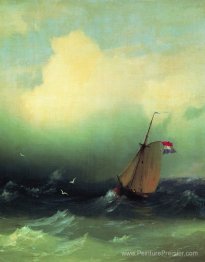 Tempête en mer