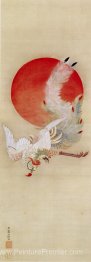 Phoenix et soleil