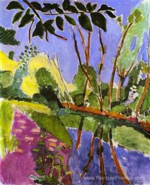 La rive du fleuve
