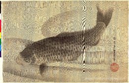 Carpe grise dans l'eau