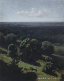 Étendue de la forêt