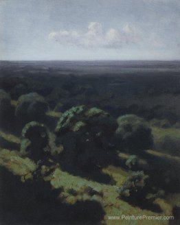 Étendue de la forêt