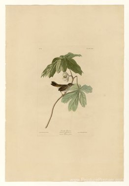 Plaque 64 Swamp Sparrow