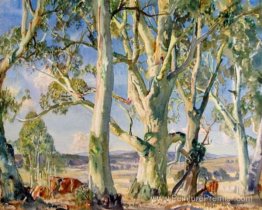 Sur le bord de la brousse