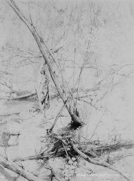 Les voiles des brumes