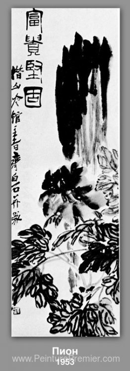Pivoine