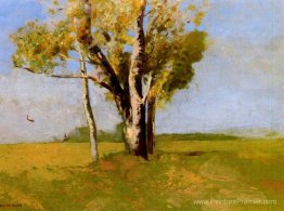 Des arbres